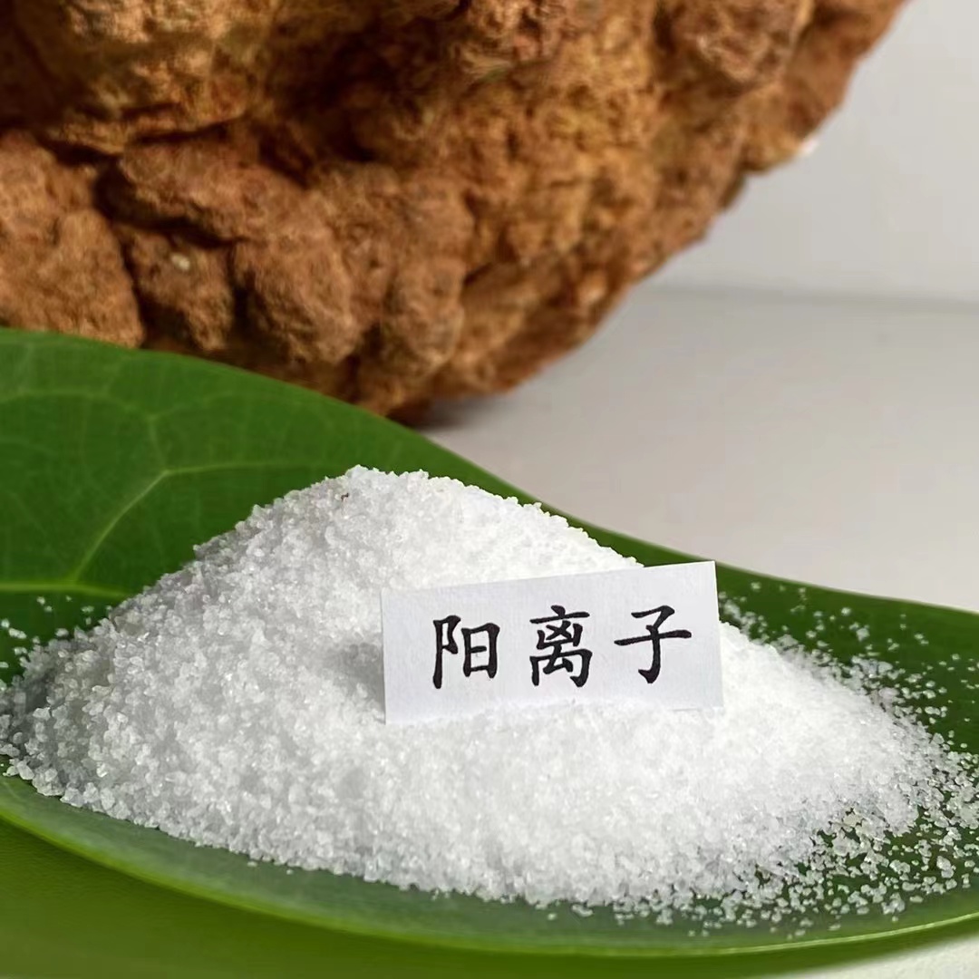 污水處理聚丙烯酰胺用陽離子還是陰離子